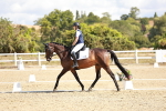 SBM_004190