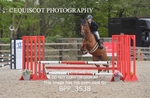 BPP_3538