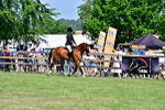 SBM_17423