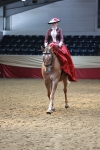 Class 105 - Ridden Costume - Side Saddle portfolio
