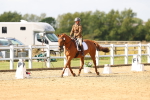 SBM_012046