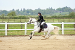 SBM_009239