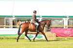 SBM_12012