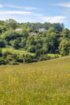 Hillside Cottages