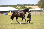SBM_17941