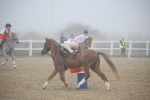 SBM_000973