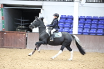 SBM_001980