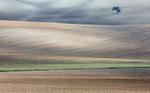 Empty fields; Andalusia.