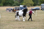 WJ6_5352
