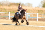 SBM_003478