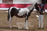 BPP_1596