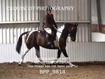 BPP_9814