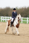 SBM_000662