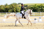 SBM_009663