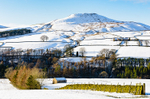 Shutlingsloe from Wildboarclough