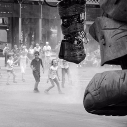 Scattered Black and Whites portfolio