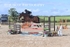 BPP_4122
