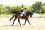 SBM_009727