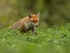 _F7A0763-Edit