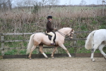 SBM_007159