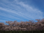 P41300280055