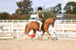 SBM_18013