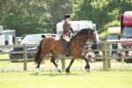 SBM_07745