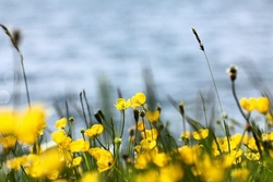 Photography portfolio