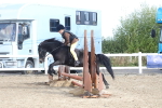 SBM_12136
