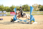 SBM_000192