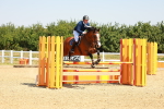 SBM_000954