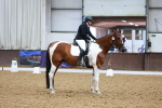 SBM_006019