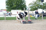 SBM_16822