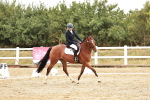 SBM_001234