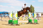 SBM_007291