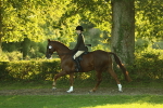 SBM_56454