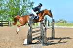 Saturday 27th - Huish Arena portfolio