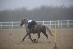 SBM_000947