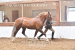 BPP_0520