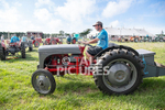 Guernsey Agricultural Show 2021-263