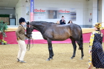 SBM_00283