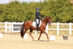 SBM_018333