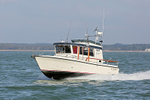 161022 TIGERFISH - TARGA 31 Y92A8734