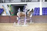 SBM_001800