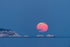Moon rise over the Needles - D75_2431
