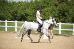 SBM_008772