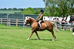 SBM_07925