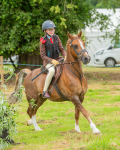 Dunblane show-36