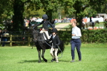 SBM_46959