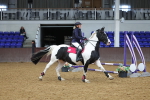 SBM_000728